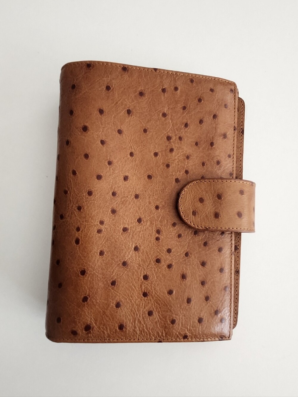 Gillio Firenze  Medium Compagna 224/02 OSTRICH-074 Planner